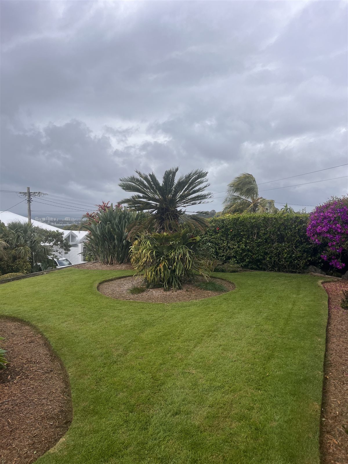 Lawn mowing after — Buderim, Sunshine Coast